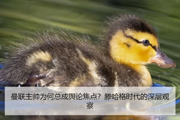 man-lian-zhu-shuai-wei-he-zong-cheng-yu-lun-jiao-dian-teng-ha-ge-shi-dai-de-shen-ceng-guan-cha-2-573.jpg